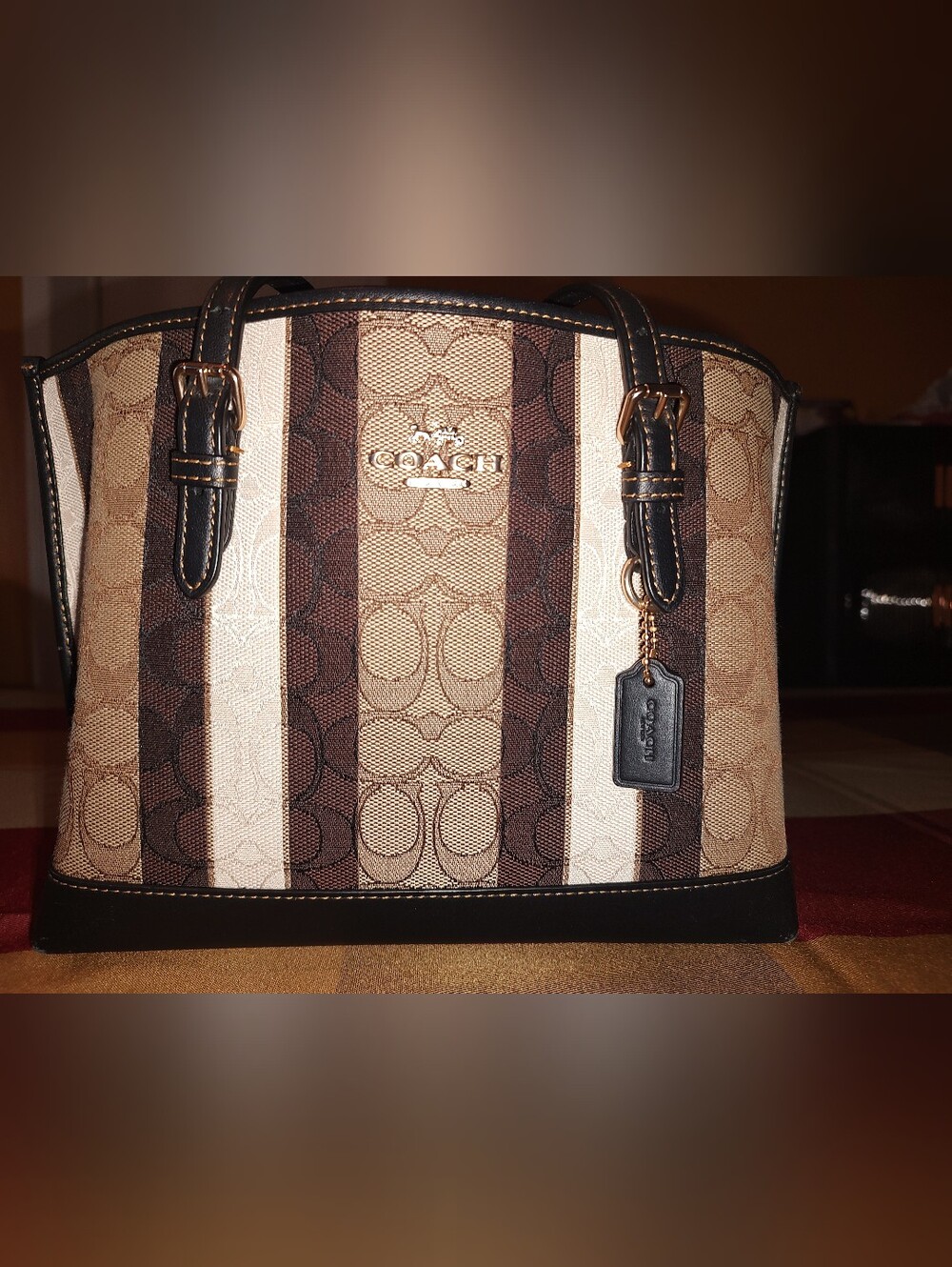 Coach Signature Stripe Tote in Brown, Beige and Black